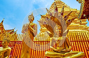 Naga-Raja Buddha image in Wat Phra That Doi Suthep temple, Chiang Mai, Thailand