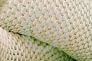 Naga scales stucco art Big snake according to Buddhist beliefs