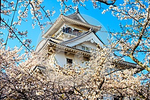 Nagahama Castle