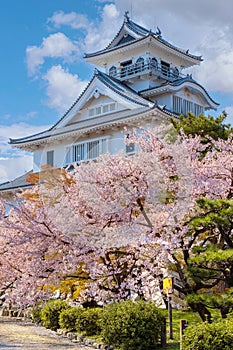 Nagahama Castle in Shiga Prefecture, Japan during full bloom cherry blossom