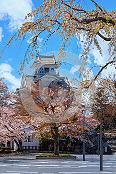 Nagahama Castle in Shiga Prefecture, Japan during full bloom cherry blossom