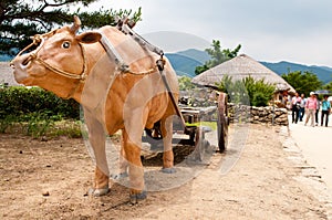 Nagan folk village South Korea