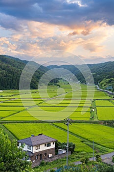 Nagano Prefecture, Japan at rual Tanokuchi Rice Terraces
