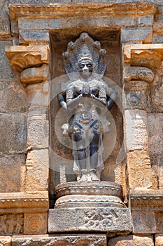 Nagaraja, Airavatesvara Temple, Darasuram, Tamil Nadu. Southern wall of maha-mandapa.
