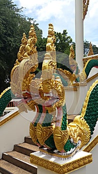 Nagas