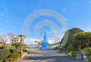 Blue christmas tree below the blue sky of Nagasaki surrounded by the palm trees of the Glover Garden.