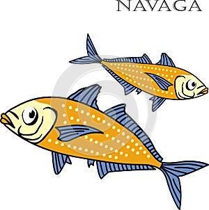 Nagava fish color cartoon illustration.