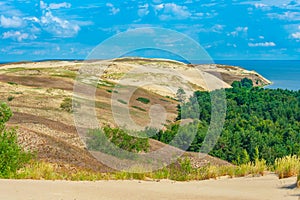 Nagliai dune at Curonian spit in Lithuania