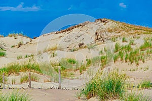 Nagliai dune at Curonian spit in Lithuania