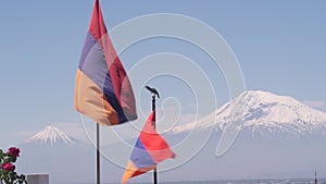 Nagorno-karabakh conflict, Azerbaijan war. Armenian flag on military cementary.