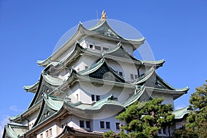 Nagoya castle