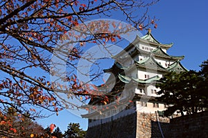 Nagoya Castle of Japan