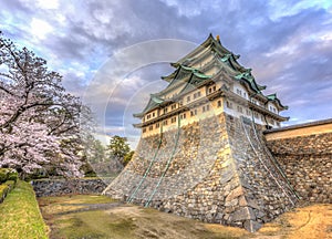 Nagoya Castle 5