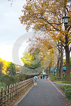 Tourist walk around of  Nagoya castle park