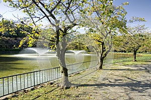 Nagoya - Meijo park, Japan