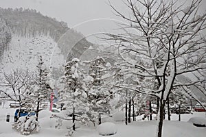 Nagoya snow scene