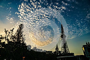 Nagoya TV Tower and sunset