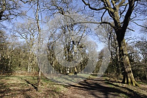 Nagshead RSPB Reserve