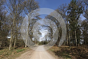 Nagshead RSPB Reserve