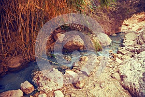 Nahal David river in Ein Gedi Nature Reserve. Israel