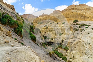 Nahal David valley, in the Ein Gedi Nature Reserve