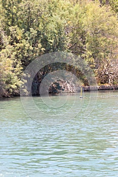 Nahal Hassi - flows within Kibbutz Nir David.