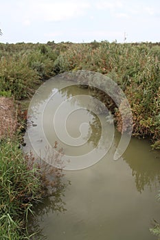 Nahal Taninim Brook Nature Reserve, Israel