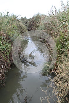 Nahal Taninim Nature Reserve, Israel