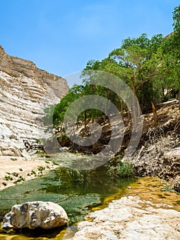 The Nahal Zin, En Akev in Negev Desert, Israel