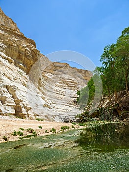 The Nahal Zin, En Akev in Negev Desert, Israel