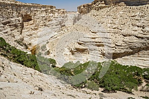 The Nahal Zin in Negev Desert, Israel