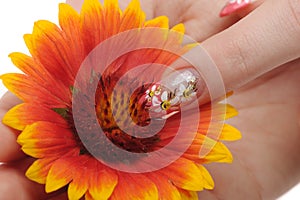 Nail art and flower