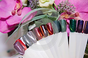 Nail Care And Manicure concept. Multicolor Nail Polish palette for Client`s Nails choise. Woman In Beauty Salon. Copyspace for