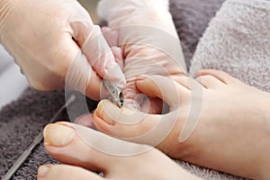 Nail clipping, foot care, female feet during a pedicure at a beauty salon.