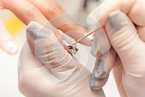 The Nail Design Studio - Nail Design