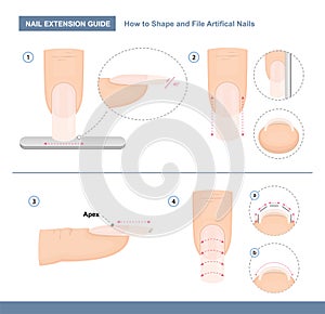 Nail extension guide. How to Shape and File Artificial Nails the Right Way. Step by Step Instruction. Professional Manicure photo