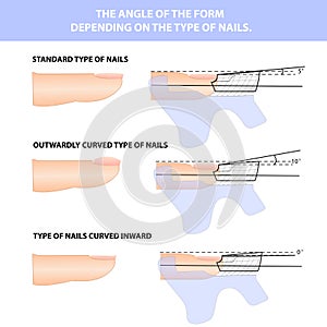 Nail extension in shape. How to apply the shape of the nail photo