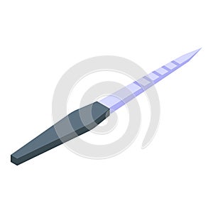 Nail file icon, isometric style