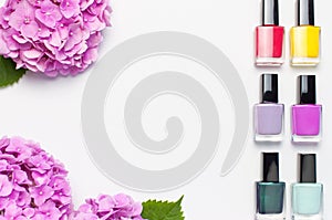 Nail polish, Decorative cosmetics. Set of different varnishes for manicure nails on light background with flowers of pink