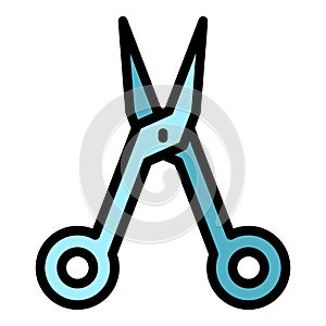 Nail scissors icon color outline vector