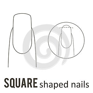 Nail shape square