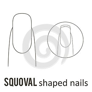 Nail shape squoval