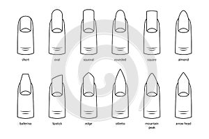 Nail shapes, vector illustration