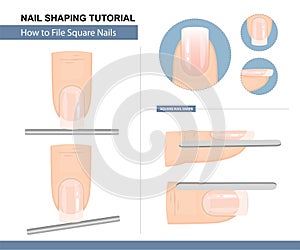 Nail Shaping Tutorial. How to File a Square Nail Shape. Step by Step Instruction. Vector photo