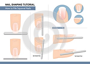 Nail Shaping Tutorial. How to File a Squoval Nail Shape. Step by Step Instruction. Vector