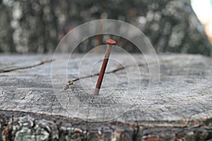 Nail in wood