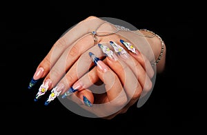 Nails photo