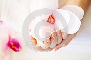 Nails care. Beautiful woman`s nails with french manicure, in beauty studio