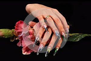 Nails Human fingers with long fingernail and beautiful manicure