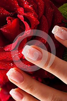 Nails and rose